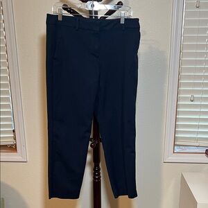 J. Crew Navy Frankie Stretch Pants